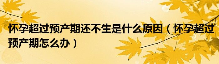 懷孕超過(guò)預(yù)產(chǎn)期還不生是什么原因（懷孕超過(guò)預(yù)產(chǎn)期怎么辦）