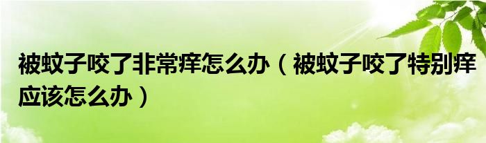 被蚊子咬了非常癢怎么辦（被蚊子咬了特別癢應(yīng)該怎么辦）