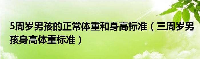 5周歲男孩的正常體重和身高標(biāo)準(zhǔn)（三周歲男孩身高體重標(biāo)準(zhǔn)）