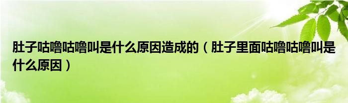 肚子咕嚕咕嚕叫是什么原因造成的（肚子里面咕嚕咕嚕叫是什么原因）