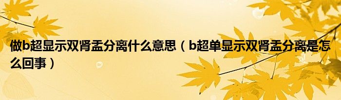 做b超顯示雙腎盂分離什么意思（b超單顯示雙腎盂分離是怎么回事）