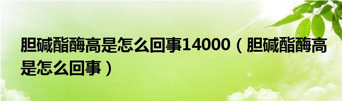 膽堿酯酶高是怎么回事14000（膽堿酯酶高是怎么回事）