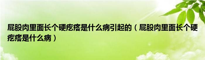 屁股肉里面長個(gè)硬疙瘩是什么病引起的（屁股肉里面長個(gè)硬疙瘩是什么?。?class='thumb lazy' /></a>
		    <header>
		<h2><a  href=