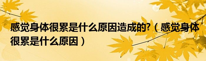 感覺(jué)身體很累是什么原因造成的?（感覺(jué)身體很累是什么原因）