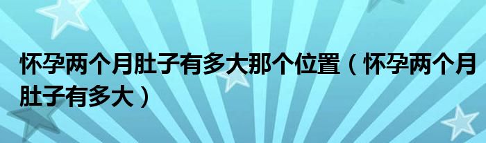 懷孕兩個月肚子有多大那個位置（懷孕兩個月肚子有多大）