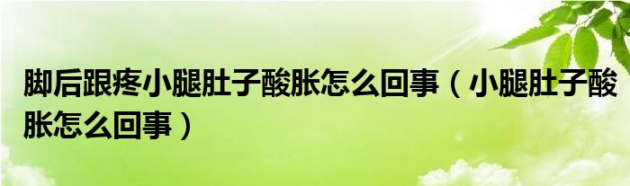 腳后跟疼小腿肚子酸脹怎么回事（小腿肚子酸脹怎么回事）