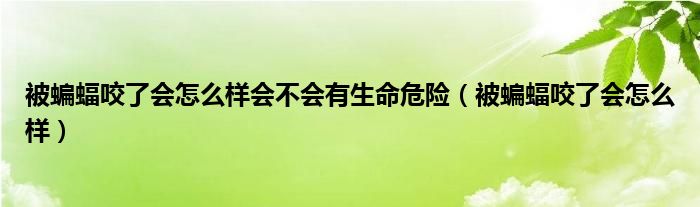 被蝙蝠咬了會怎么樣會不會有生命危險(xiǎn)（被蝙蝠咬了會怎么樣）