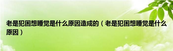 老是犯困想睡覺(jué)是什么原因造成的（老是犯困想睡覺(jué)是什么原因）