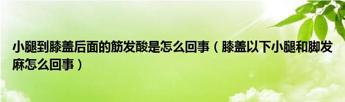 小腿到膝蓋后面的筋發(fā)酸是怎么回事（膝蓋以下小腿和腳發(fā)麻怎么回事）