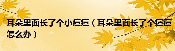 耳朵里面長了個小痘痘（耳朵里面長了個痘痘怎么辦）