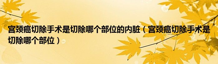 宮頸癌切除手術(shù)是切除哪個部位的內(nèi)臟（宮頸癌切除手術(shù)是切除哪個部位）