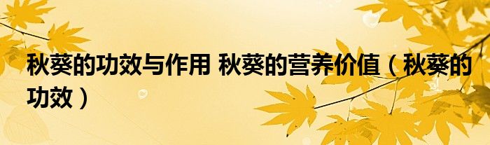 秋葵的功效與作用 秋葵的營(yíng)養(yǎng)價(jià)值（秋葵的功效）