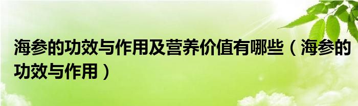 海參的功效與作用及營(yíng)養(yǎng)價(jià)值有哪些（海參的功效與作用）