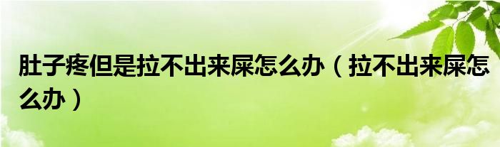 肚子疼但是拉不出來屎怎么辦（拉不出來屎怎么辦）