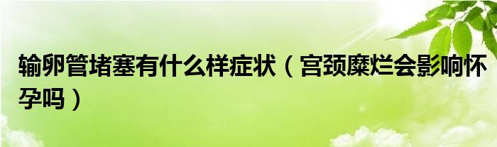 輸卵管堵塞有什么樣癥狀（宮頸糜爛會影響懷孕嗎）