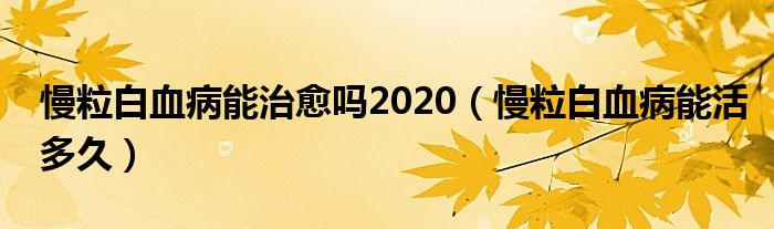 慢粒白血病能治愈嗎2020（慢粒白血病能活多久）