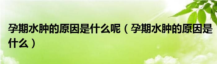 孕期水腫的原因是什么呢（孕期水腫的原因是什么）