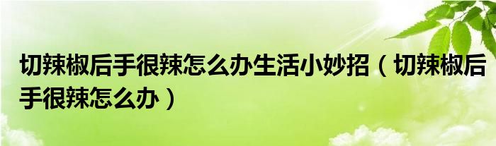 切辣椒后手很辣怎么辦生活小妙招（切辣椒后手很辣怎么辦）