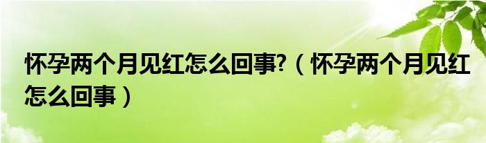 懷孕兩個(gè)月見(jiàn)紅怎么回事?（懷孕兩個(gè)月見(jiàn)紅怎么回事）