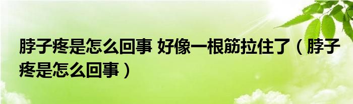 脖子疼是怎么回事 好像一根筋拉住了（脖子疼是怎么回事）