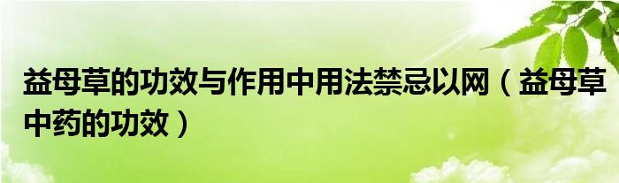 益母草的功效與作用中用法禁忌以網(wǎng)（益母草中藥的功效）