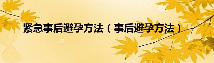 緊急事后避孕方法（事后避孕方法）