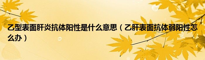 乙型表面肝炎抗體陽性是什么意思（乙肝表面抗體弱陽性怎么辦）