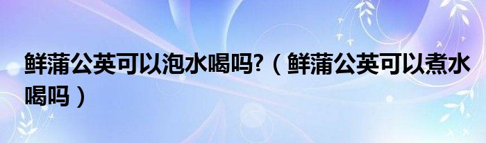 鮮蒲公英可以泡水喝嗎?（鮮蒲公英可以煮水喝嗎）