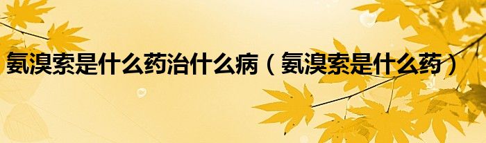 氨溴索是什么藥治什么?。ò变逅魇鞘裁此帲? /></span>
		<span id=