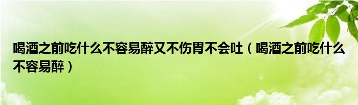 喝酒之前吃什么不容易醉又不傷胃不會吐（喝酒之前吃什么不容易醉）