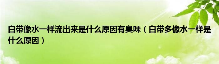 白帶像水一樣流出來是什么原因有臭味（白帶多像水一樣是什么原因）