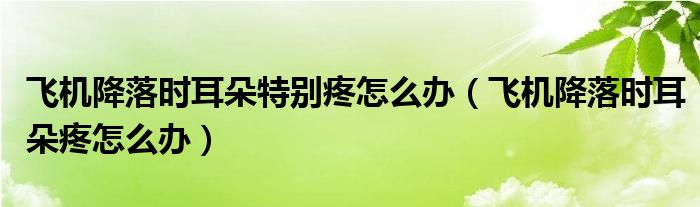 飛機(jī)降落時耳朵特別疼怎么辦（飛機(jī)降落時耳朵疼怎么辦）