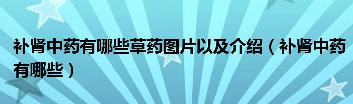 補腎中藥有哪些草藥圖片以及介紹（補腎中藥有哪些）