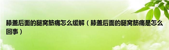 膝蓋后面的腿窩筋痛怎么緩解（膝蓋后面的腿窩筋痛是怎么回事）