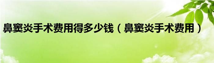 鼻竇炎手術(shù)費(fèi)用得多少錢（鼻竇炎手術(shù)費(fèi)用）