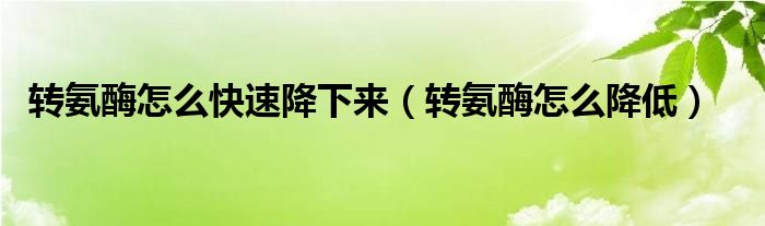 轉(zhuǎn)氨酶怎么快速降下來（轉(zhuǎn)氨酶怎么降低）