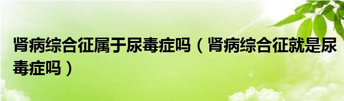 腎病綜合征屬于尿毒癥嗎（腎病綜合征就是尿毒癥嗎）