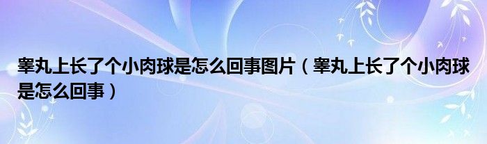 睪丸上長了個(gè)小肉球是怎么回事圖片（睪丸上長了個(gè)小肉球是怎么回事）