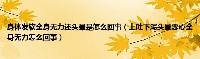 身體發(fā)軟全身無力還頭暈是怎么回事（上吐下瀉頭暈惡心全身無力怎么回事）