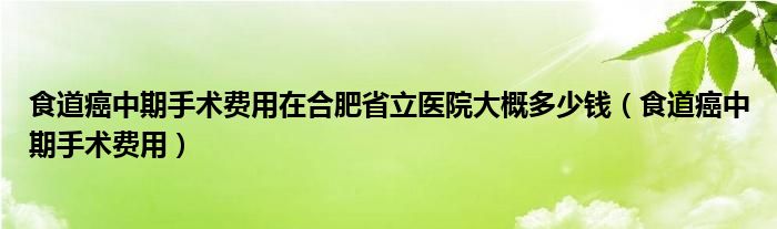 食道癌中期手術(shù)費(fèi)用在合肥省立醫(yī)院大概多少錢（食道癌中期手術(shù)費(fèi)用）