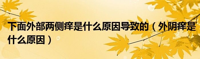 下面外部兩側(cè)癢是什么原因?qū)е碌模ㄍ怅幇W是什么原因）