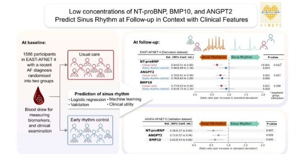 生物標志物可以預測心房顫動患者未來的竇性心律