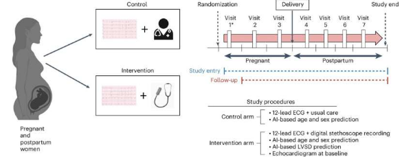 人工智能聽診器使妊娠期心力衰竭檢測率提高一倍