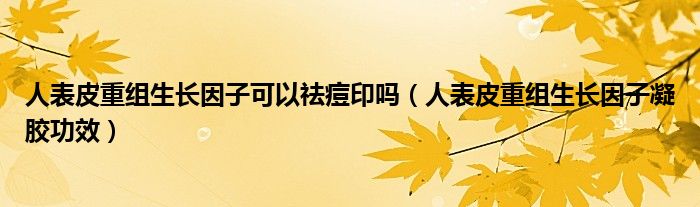 人表皮重組生長因子可以祛痘印嗎（人表皮重組生長因子凝膠功效）