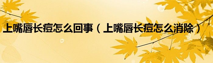 上嘴唇長(zhǎng)痘怎么回事（上嘴唇長(zhǎng)痘怎么消除）