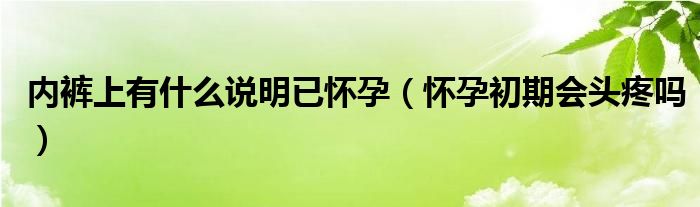 內(nèi)褲上有什么說明已懷孕（懷孕初期會頭疼嗎）