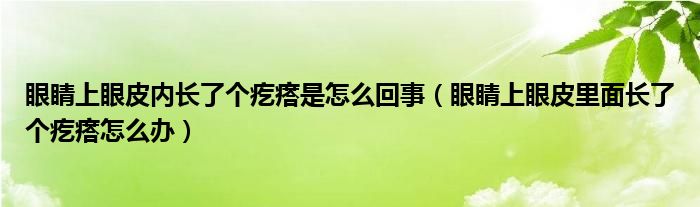 眼睛上眼皮內(nèi)長了個疙瘩是怎么回事（眼睛上眼皮里面長了個疙瘩怎么辦）