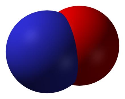 科學家中和活性氮分子以增強癌癥免疫療法