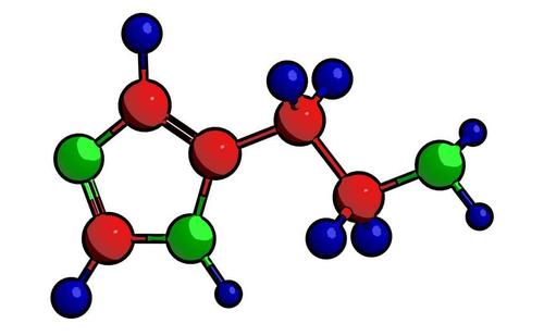 快速進化其分子機制的新發(fā)現(xiàn)