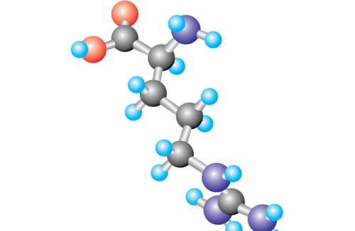 用Immuno-SABER照亮蛋白質